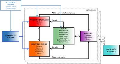 Methods for Monitoring for the Population Consequences of Disturbance in Marine Mammals: A Review